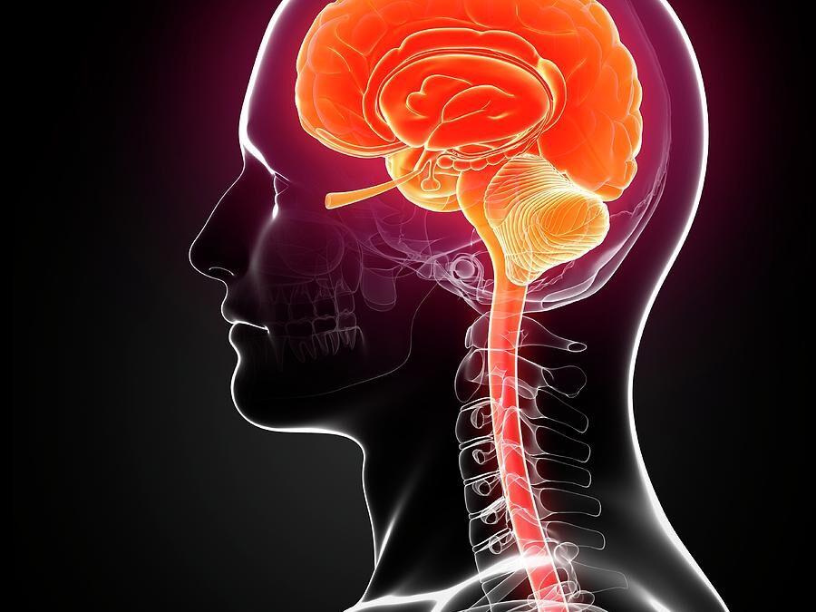 Rehabilitation & Parkinson’s